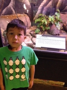 Sebastian next to a snake at the zoo. He does not like snakes.