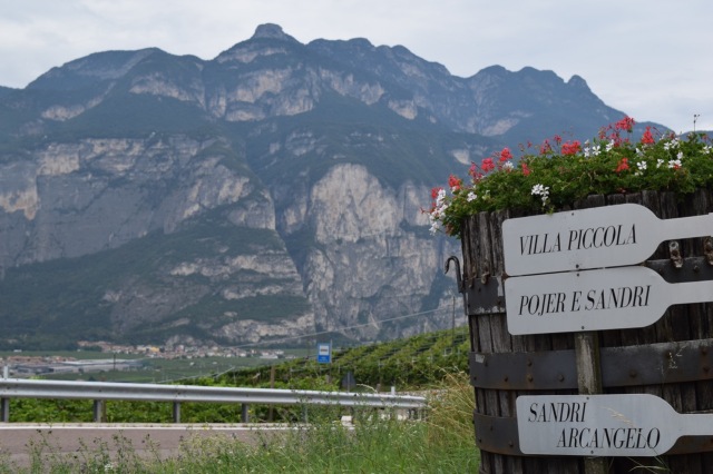 The Dolomites provide unique soils and character to the wines.